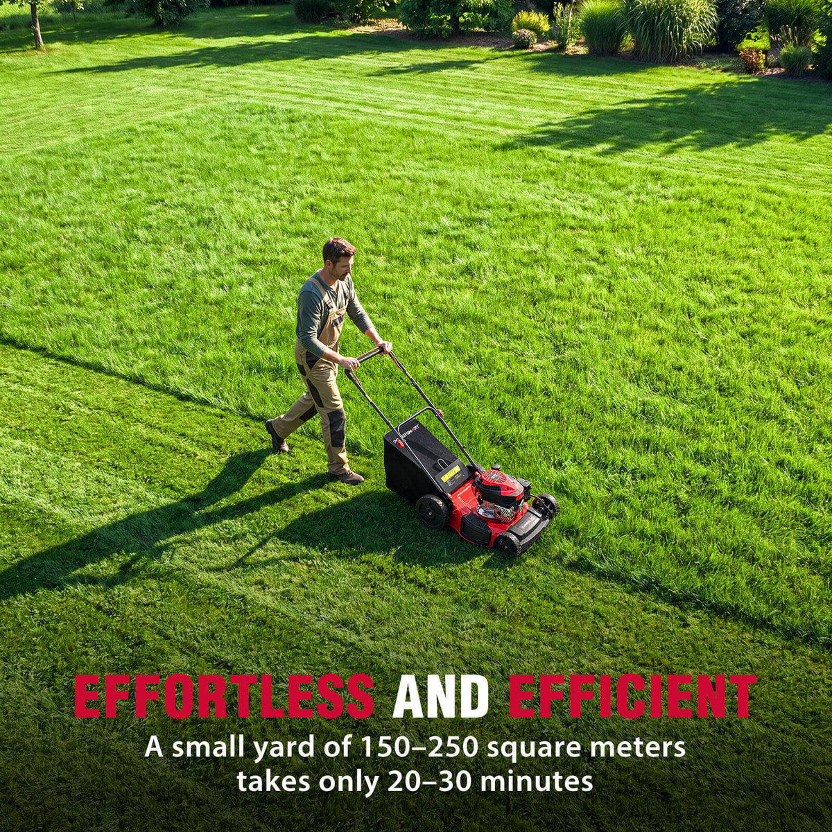 21" 144cc Gas Push 3-in-1 Lawn Mower DB8621P