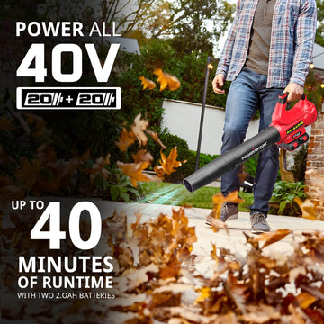 450CFM Cordless Leaf Blower w/ Two 20V Battery and Charger DB2201B