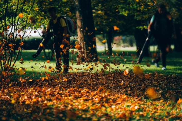 3 Essential Steps for Fall Yard Cleanup