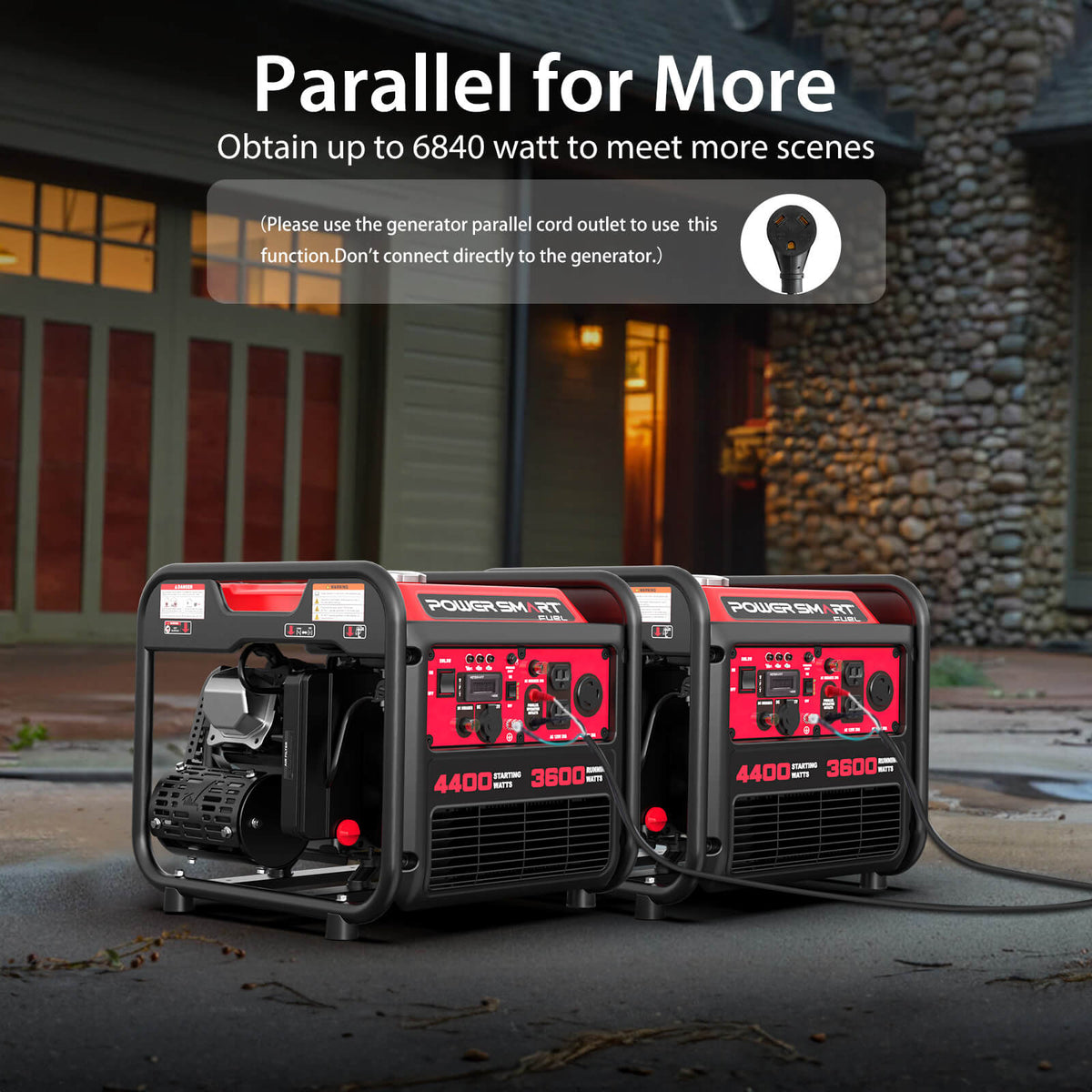 4400W Open Frame Gas Inverter Generator DL5040